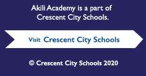 Akili Academy